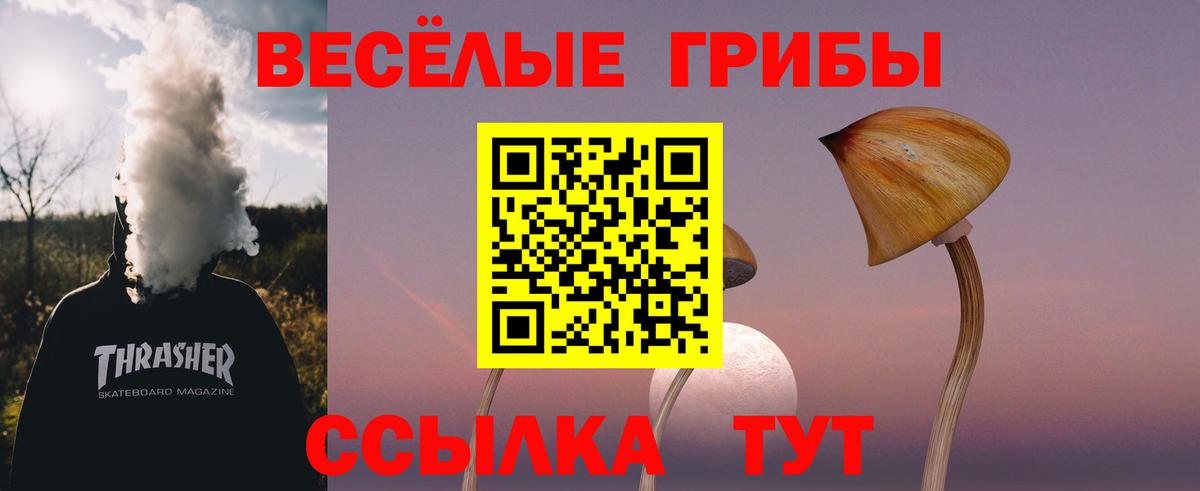 как найти закладки  Вход с VPN  Белебей  Галлюциногенные грибы Magic Shrooms  Псилоцибиновые грибы Cubensis 